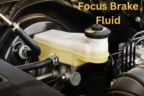Ford Focus Brake Fluid Ford Focus Brake Fluid Close up