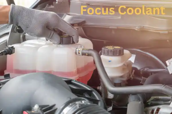 Ford Focus Coolant Ford Focus Coolant Reservoir Close up