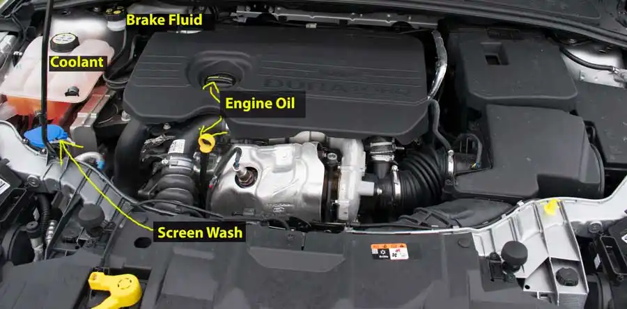 Ford Focus Diesel Engine TDCi 1.5 Ford Focus 1.5 TDCi Diesel Engine close up with labels for show me tell me questions